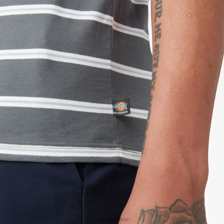 Skateboarding Striped T-Shirt Men Dickies Charcoal Mini Stripe (CSM) 88T84770 Apparel