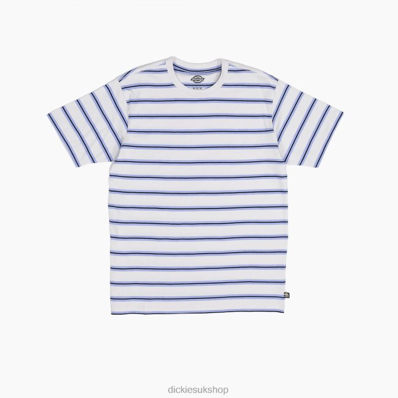 Skateboarding Striped T-Shirt Men Dickies Light Gray Stripe (LSG) 88T84772 Apparel