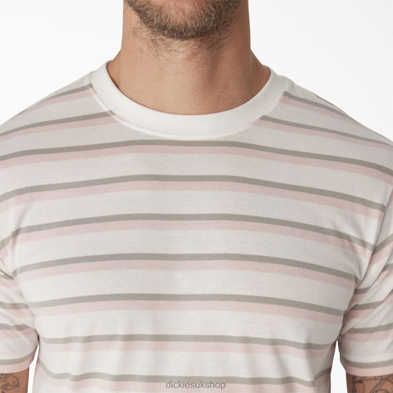 Skateboarding Striped T-Shirt Men Dickies Lotus Pink/White Stripe (TSE) 88T84773 Apparel