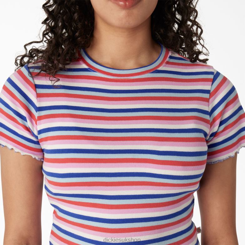 Striped Cropped Baby T-Shirt Women Dickies Blue Explorer Stripe (UXS) 88T842079 Apparel