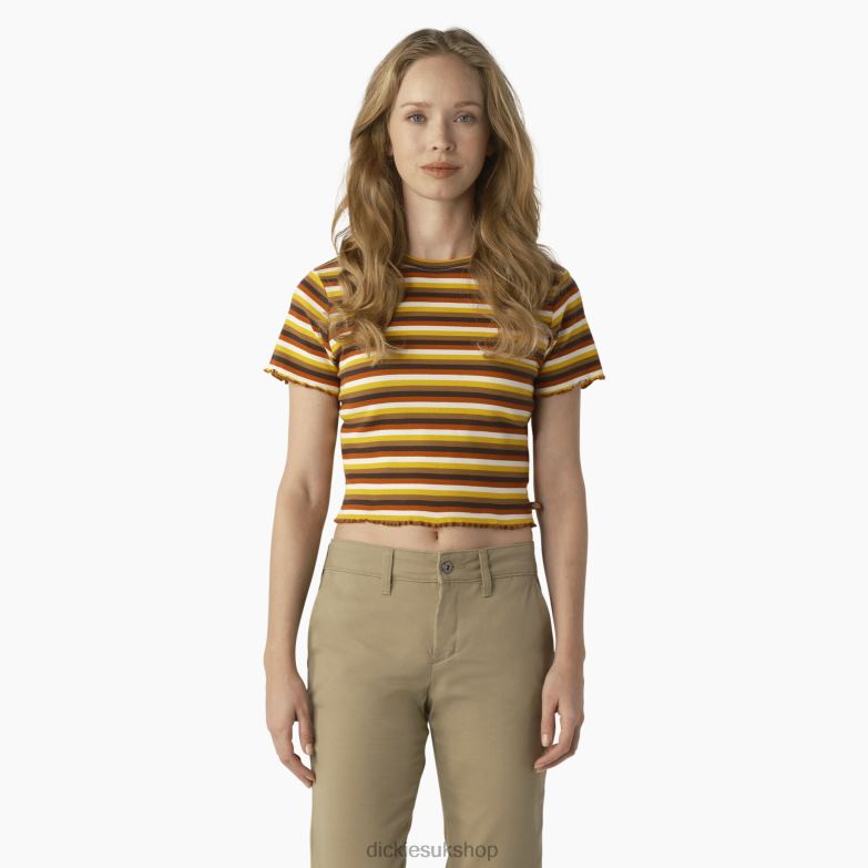 Ginger Honey Baby Stripe (GSN)