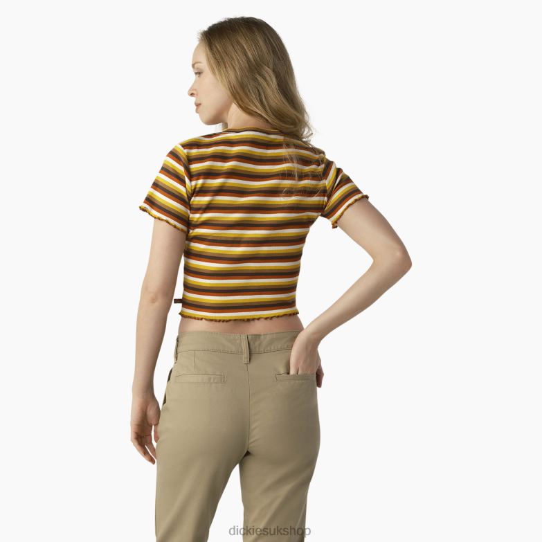 Striped Cropped Baby T-Shirt Women Dickies Ginger Honey Baby Stripe (GSN) 88T842076 Apparel