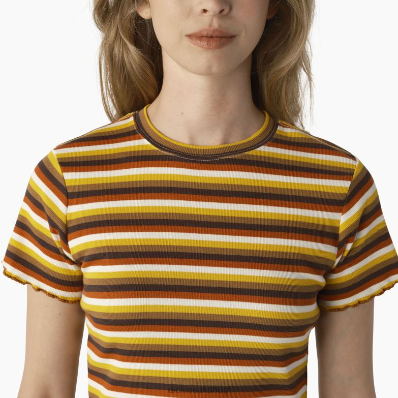Striped Cropped Baby T-Shirt Women Dickies Ginger Honey Baby Stripe (GSN) 88T842076 Apparel