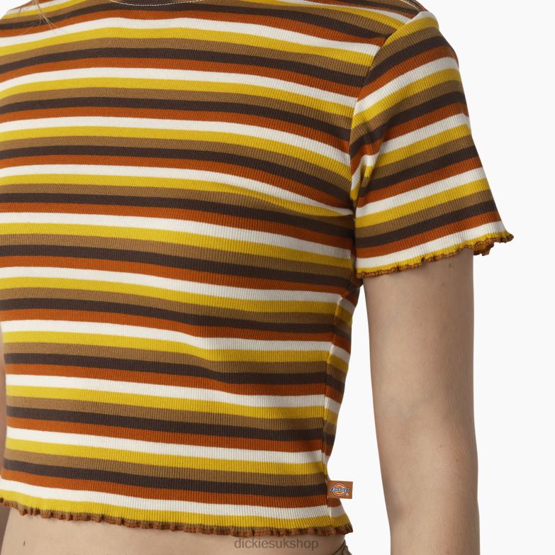 Striped Cropped Baby T-Shirt Women Dickies Ginger Honey Baby Stripe (GSN) 88T842076 Apparel
