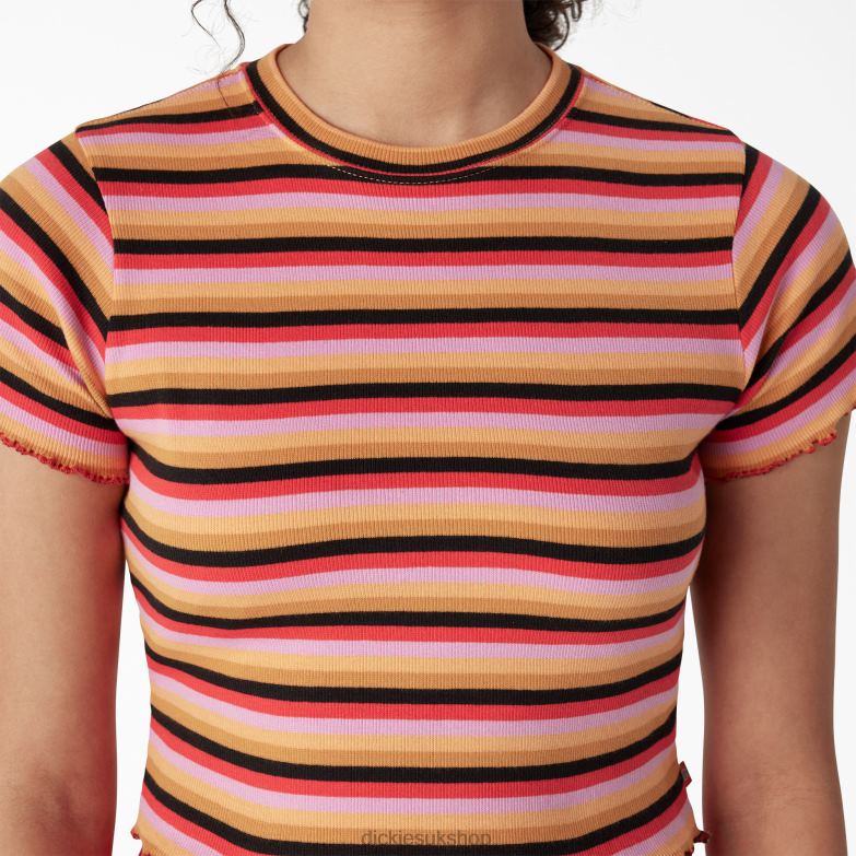 Striped Cropped Baby T-Shirt Women Dickies Orange Explorer Stripe (AXS) 88T842075 Apparel