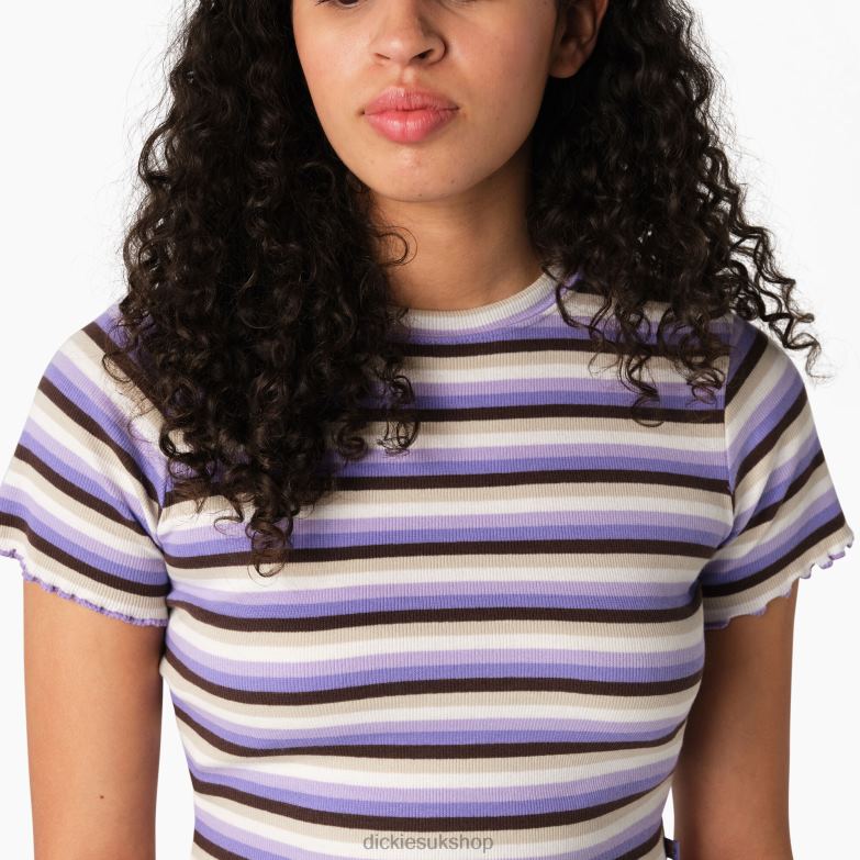 Striped Cropped Baby T-Shirt Women Dickies Purple Rose Explorer Stripe (PXS) 88T842078 Apparel