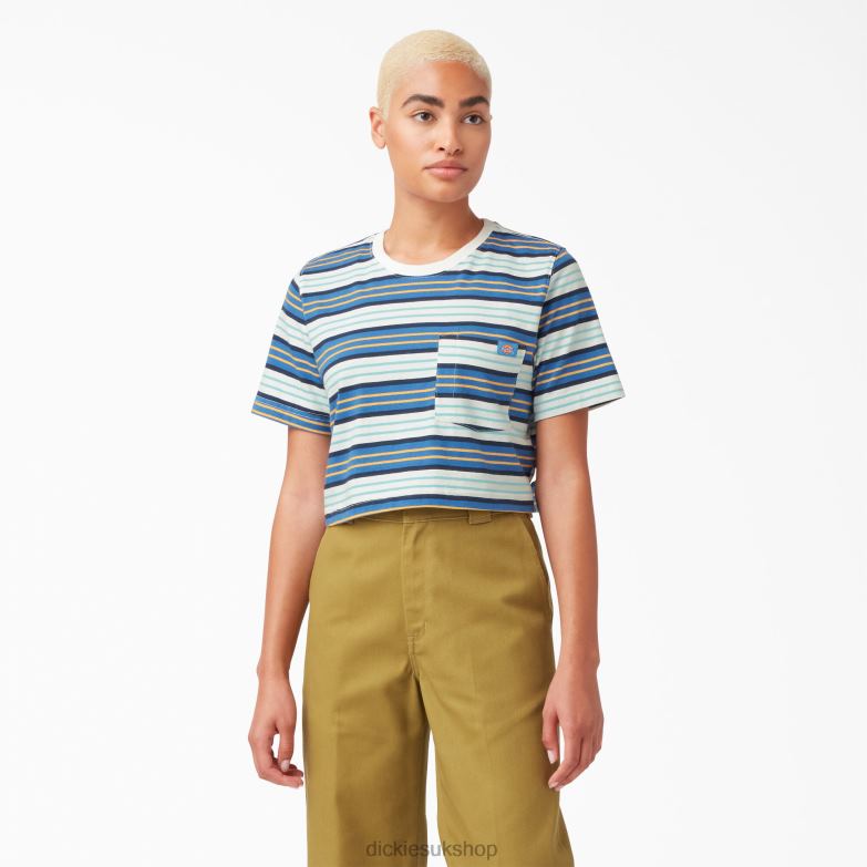 Striped Cropped T-Shirt Women Dickies Cobalt Stripe (C2S) 88T842012 Apparel