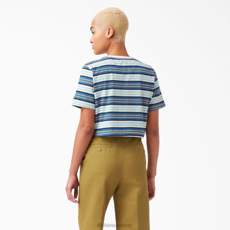 Striped Cropped T-Shirt Women Dickies Cobalt Stripe (C2S) 88T842012 Apparel