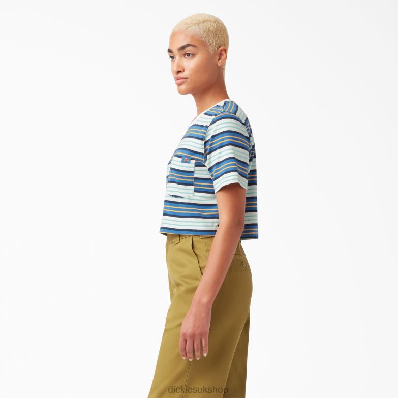 Striped Cropped T-Shirt Women Dickies Cobalt Stripe (C2S) 88T842012 Apparel