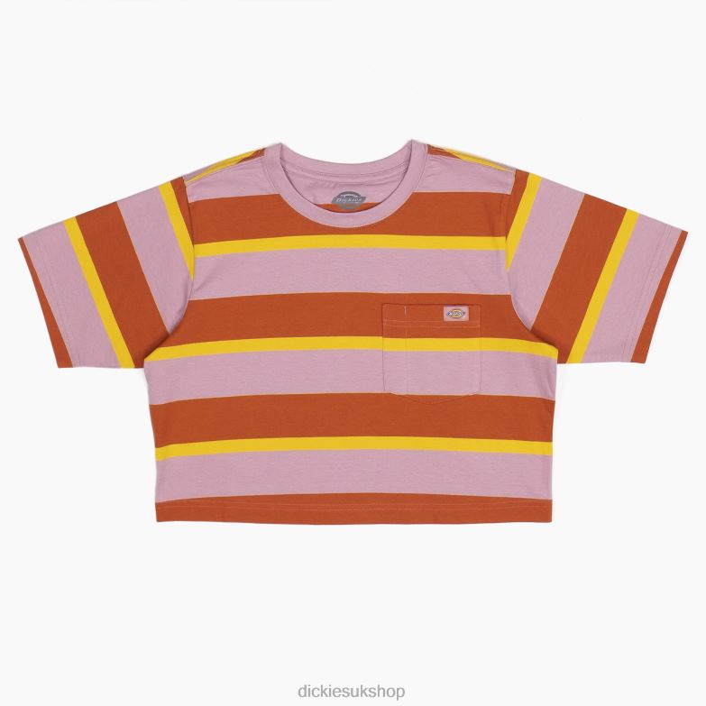 Ginger Fox Collegiate Stripe (XSR)