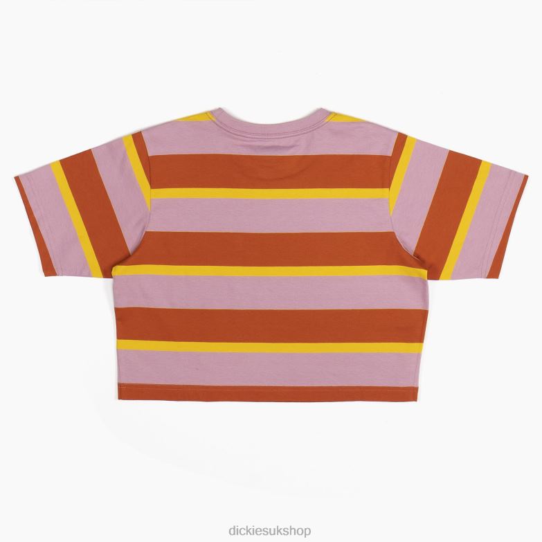 Striped Cropped T-Shirt Women Dickies Ginger Fox Collegiate Stripe (XSR) 88T842017 Apparel