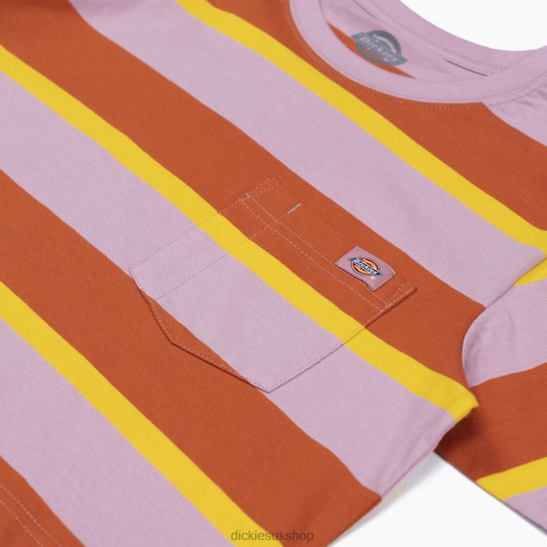 Striped Cropped T-Shirt Women Dickies Ginger Fox Collegiate Stripe (XSR) 88T842017 Apparel