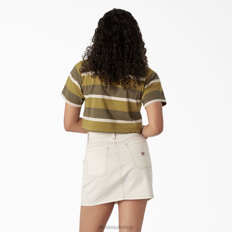 Striped Cropped T-Shirt Women Dickies Moss/Military Green Stripe (MMS) 88T842013 Apparel