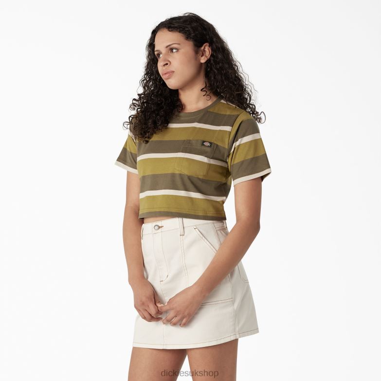 Striped Cropped T-Shirt Women Dickies Moss/Military Green Stripe (MMS) 88T842013 Apparel