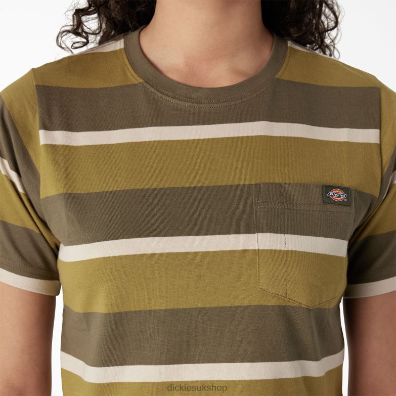 Striped Cropped T-Shirt Women Dickies Moss/Military Green Stripe (MMS) 88T842013 Apparel