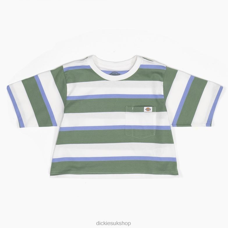 White/Green Collegiate Stripe (WSE)