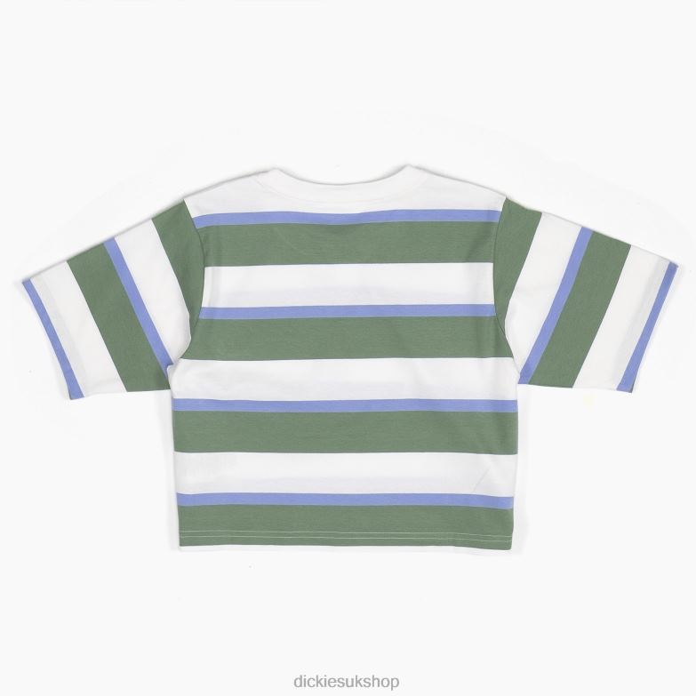 Striped Cropped T-Shirt Women Dickies White/Green Collegiate Stripe (WSE) 88T842015 Apparel