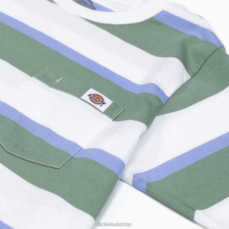 Striped Cropped T-Shirt Women Dickies White/Green Collegiate Stripe (WSE) 88T842015 Apparel