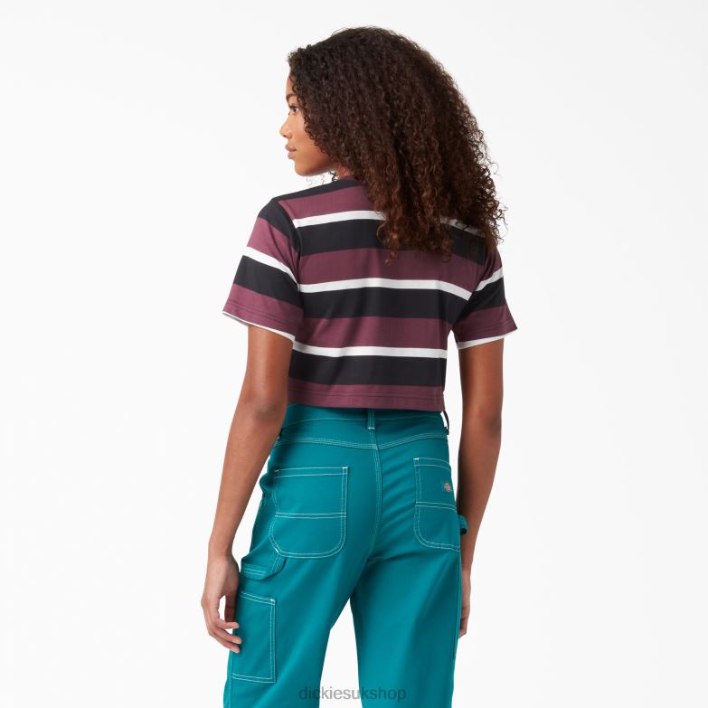 Striped Cropped T-Shirt Women Dickies Wine Collegiate Stripe (WSG) 88T842016 Apparel