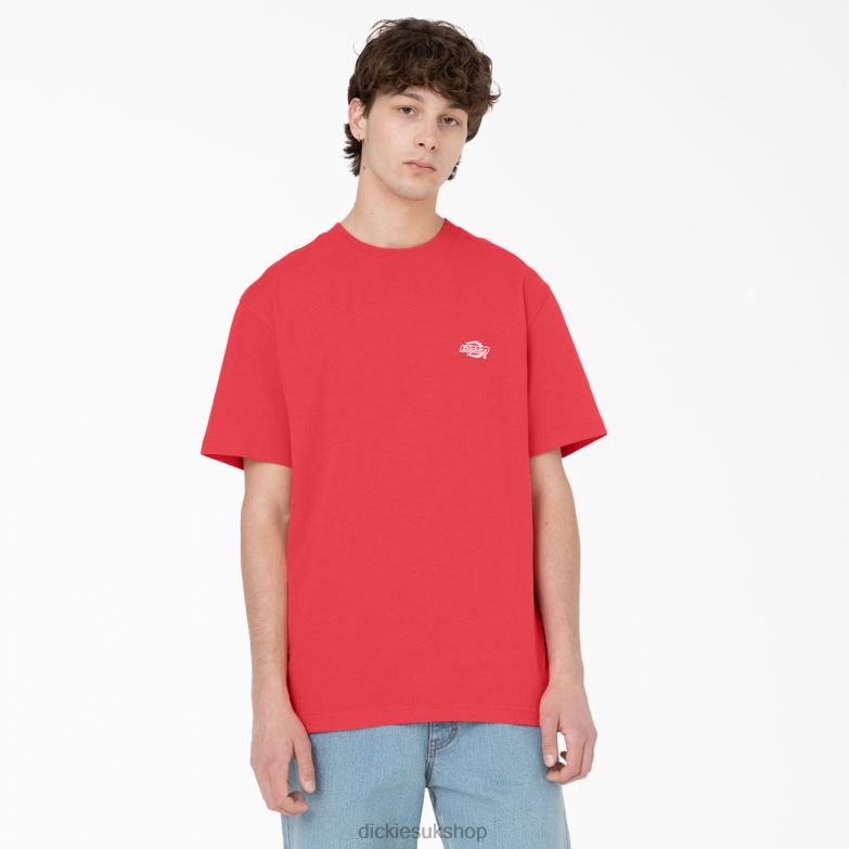 Summerdale Short Sleeve T-Shirt Men Dickies Bittersweet (BW2) 88T84580 Apparel