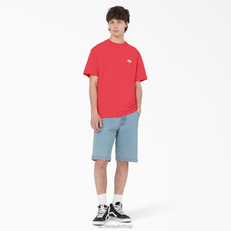 Summerdale Short Sleeve T-Shirt Men Dickies Bittersweet (BW2) 88T84580 Apparel