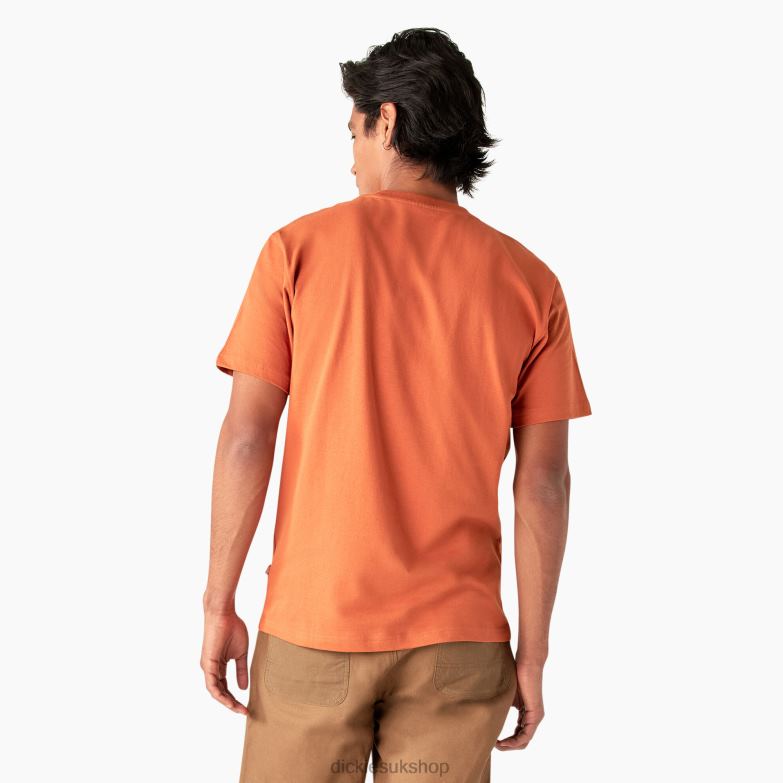 Summerdale Short Sleeve T-Shirt Men Dickies Bombay Brown (B2B) 88T84581 Apparel