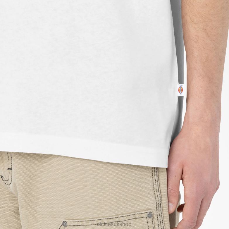Summerdale Short Sleeve T-Shirt Men Dickies White (WH) 88T84583 Apparel