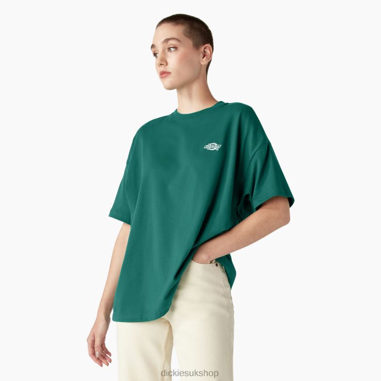 Summerdale Short Sleeve T-Shirt Women Dickies Aventurine (AV2) 88T841977 Apparel