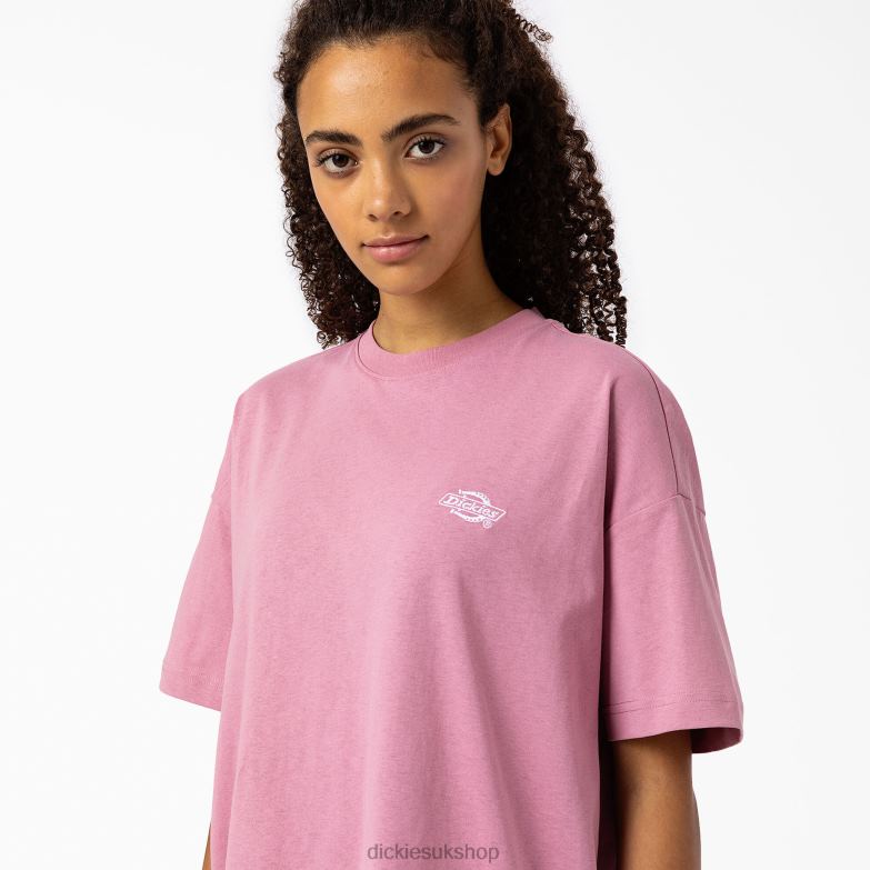 Summerdale Short Sleeve T-Shirt Women Dickies Foxglove (F2G) 88T841979 Apparel