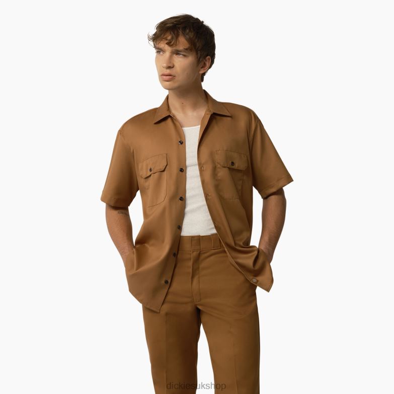 Brown Duck (WSD)