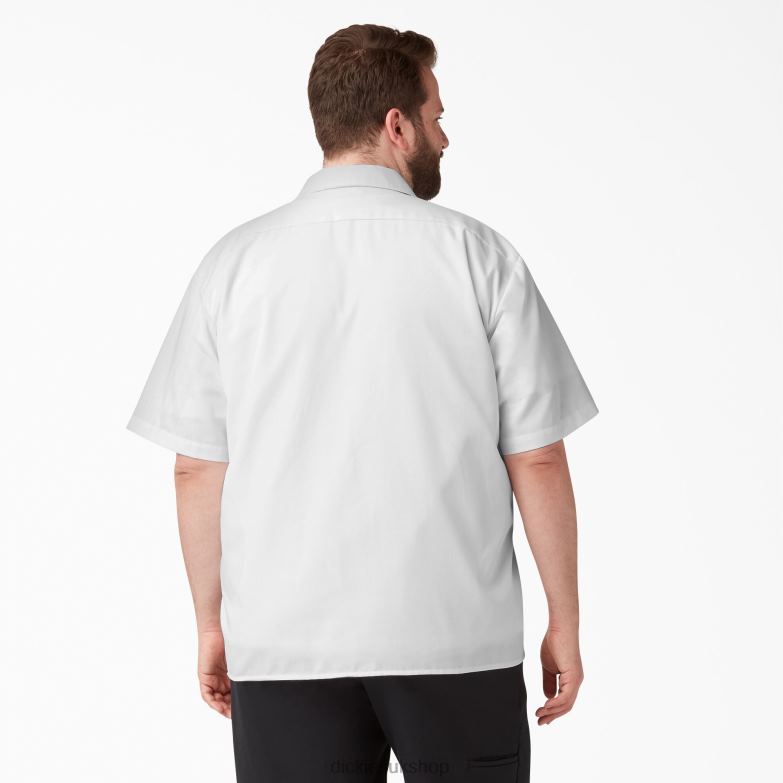 Short Sleeve Work Shirt Men Dickies White (WH) 88T84502 Work Apparel
